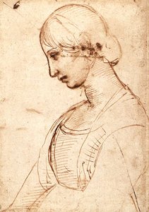 Waist-length Figure of a Young Woman